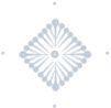 bg-footer-illustrated flocon